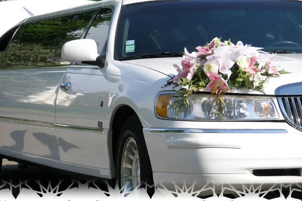 Limousine